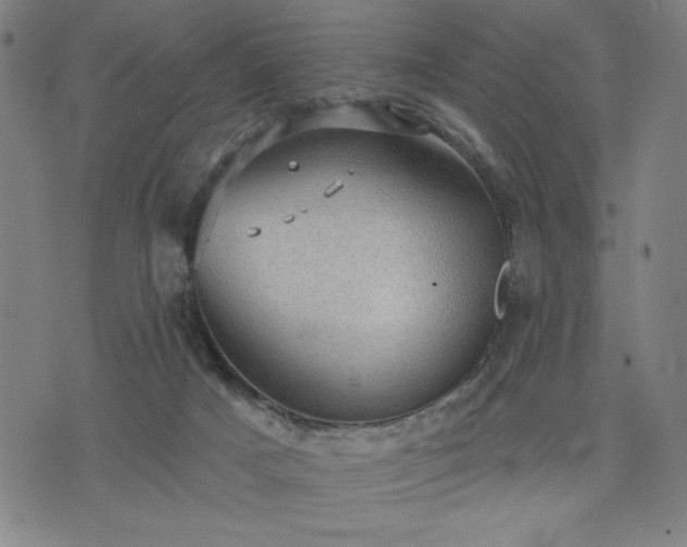 X0000076320025200610061421