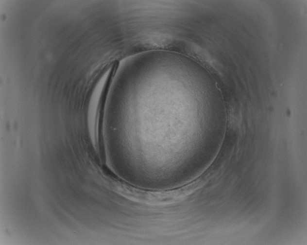 X0000076320027200610061421