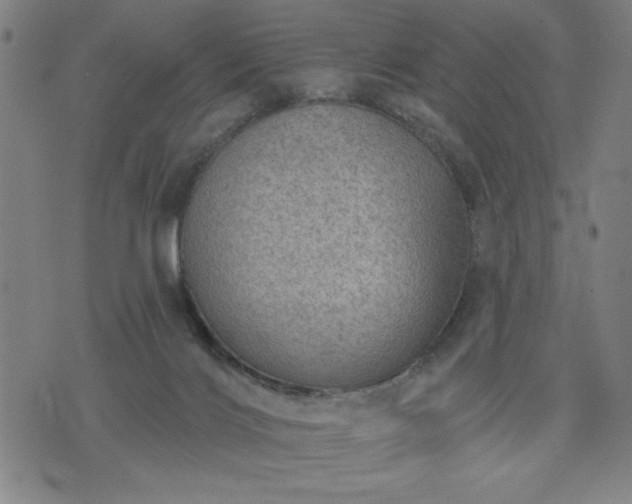 X0000076320028200610061421