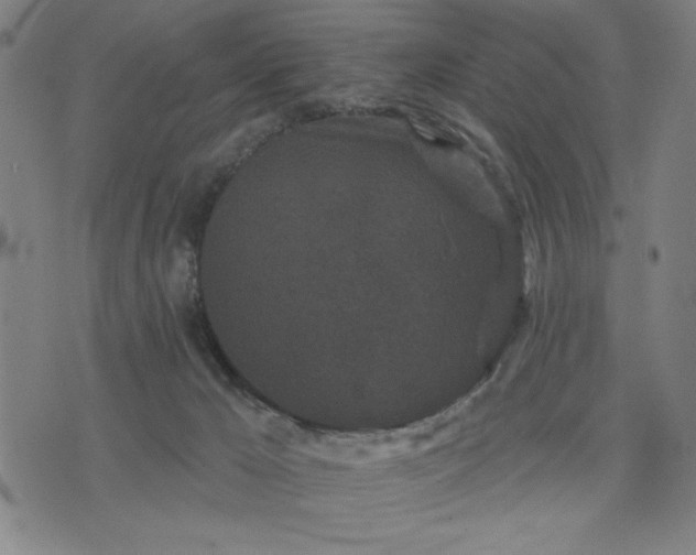 X0000076320029200610061421