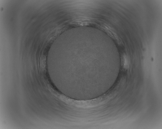 X0000076320030200610061421