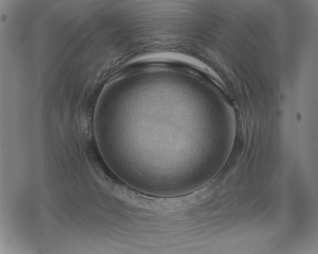 X0000076320031200610061421