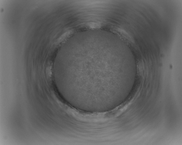 X0000076320032200610061421