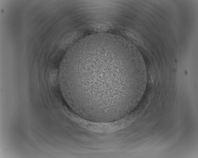 X0000076320034200610061421