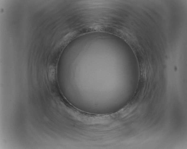 X0000076320036200610061421