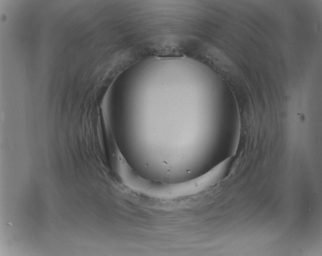 X0000076320037200610061421