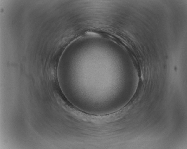 X0000076320039200610061421