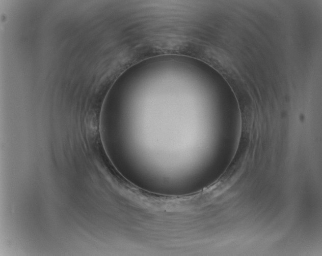 X0000076320040200610061421