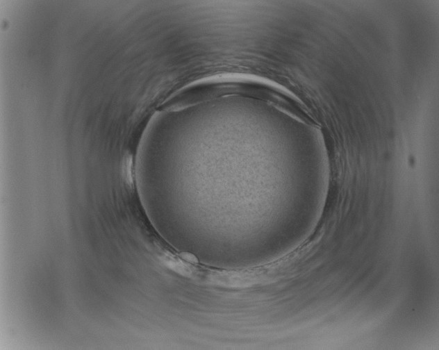 X0000076320041200610061421