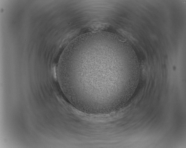 X0000076320042200610061421