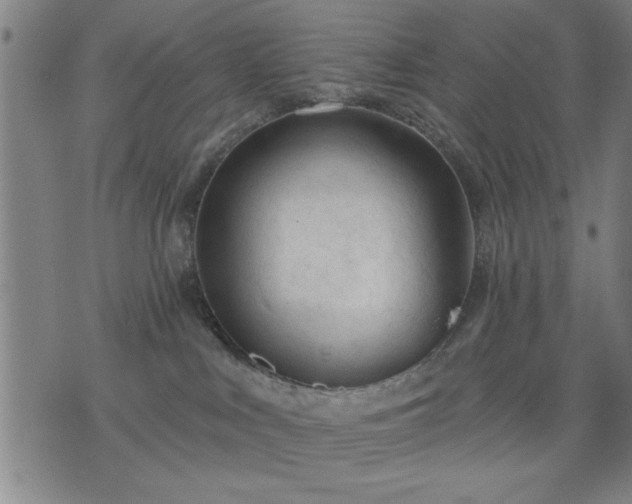 X0000076320043200610061421