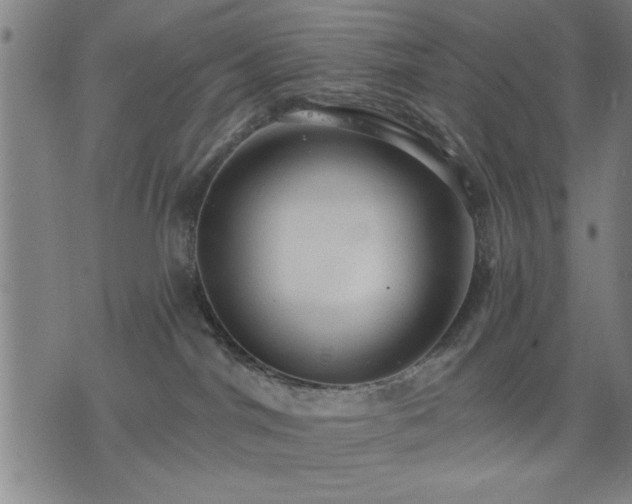 X0000076320044200610061421