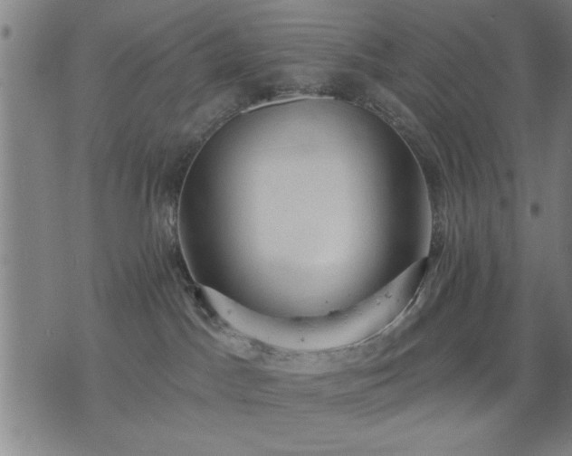 X0000076320045200610061421