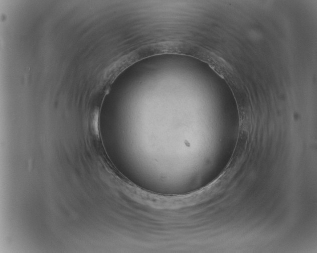 X0000076320047200610061421