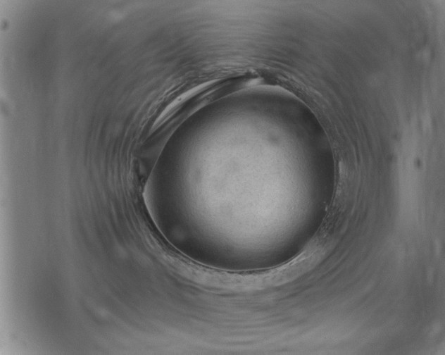 X0000076320048200610061421