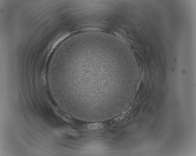 X0000076320050200610061420