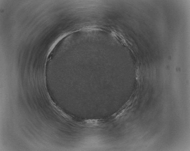 X0000076320052200610061420