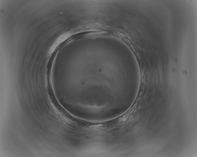 X0000076320054200610061420