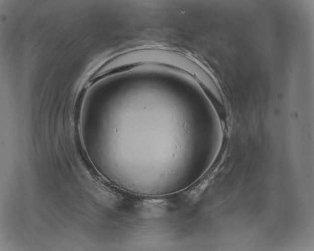 X0000076320055200610061420