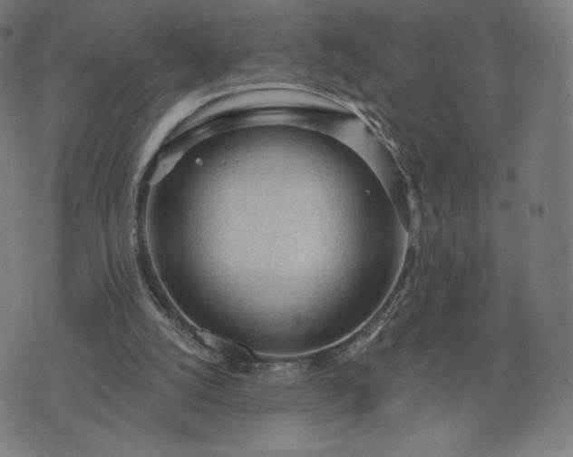 X0000076320056200610061420