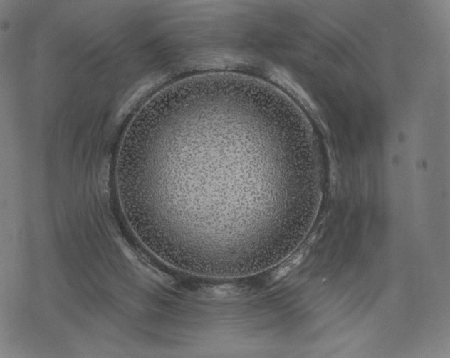 X0000076320058200610061420