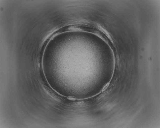 X0000076320059200610061421