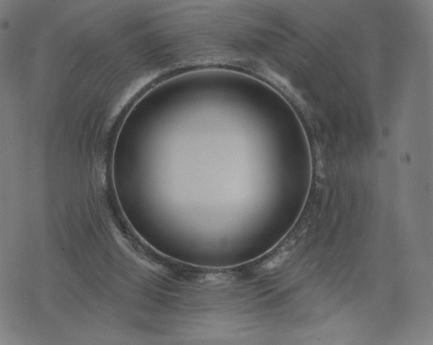 X0000076320060200610061421