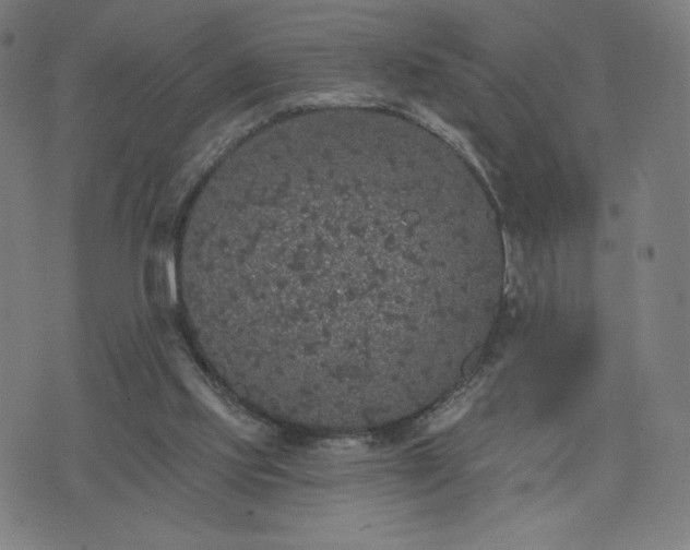 X0000076320061200610061421