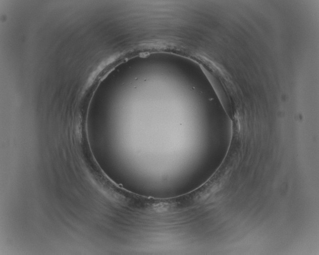 X0000076320064200610061421