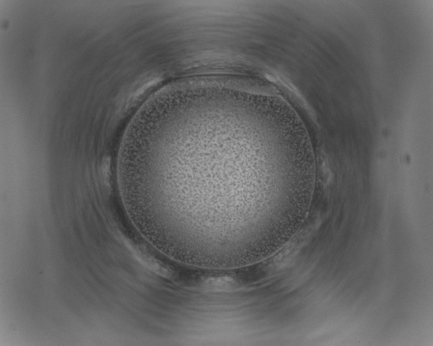 X0000076320066200610061421