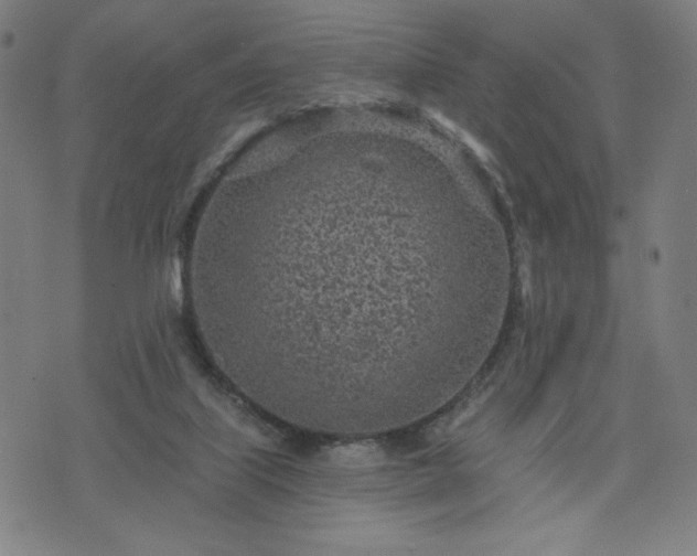 X0000076320067200610061421