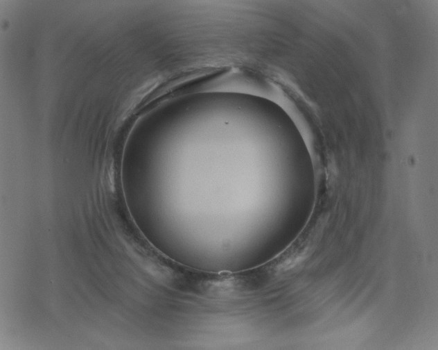 X0000076320068200610061421