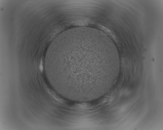 X0000076320069200610061421