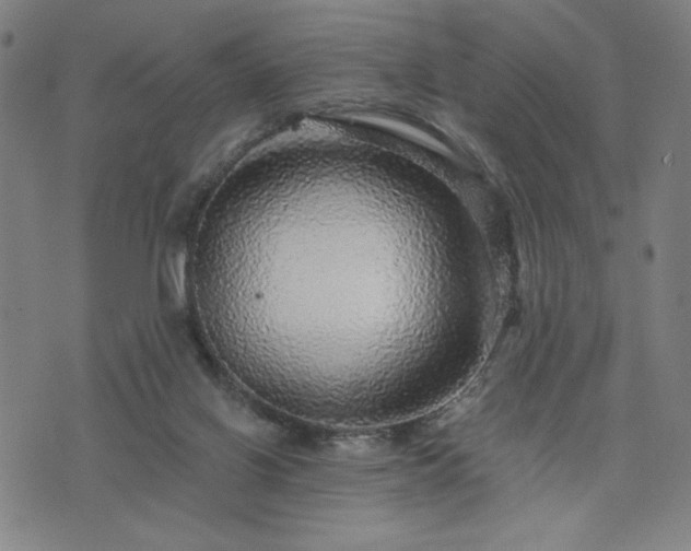 X0000076320070200610061421