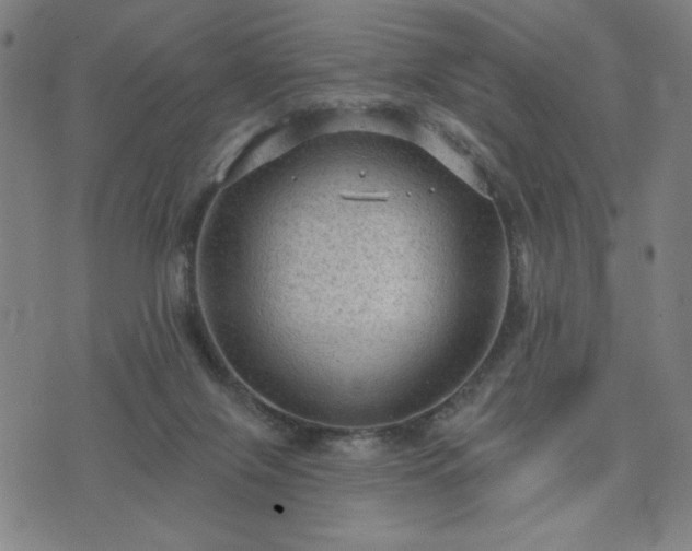 X0000076320071200610061421