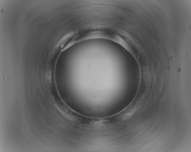 X0000076320072200610061421