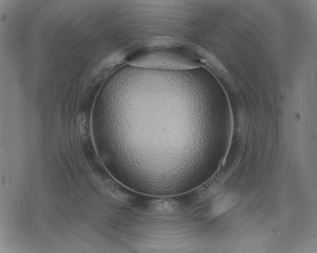 X0000076320073200610061421