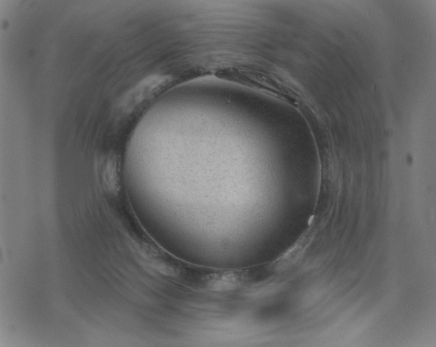 X0000076320074200610061421