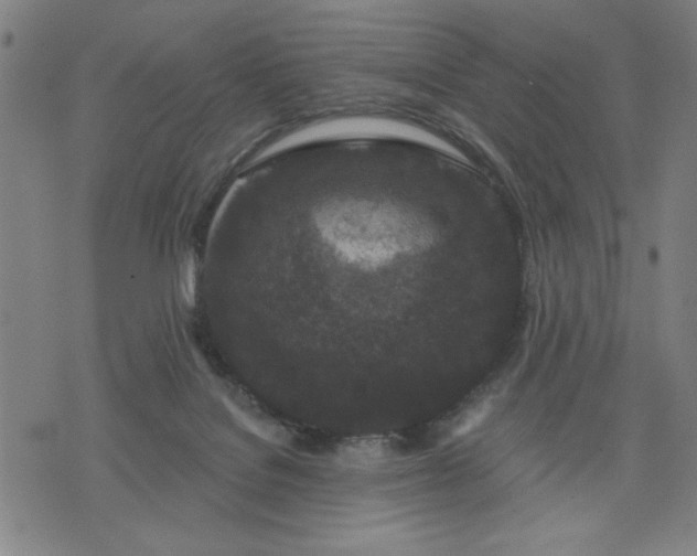 X0000076320076200610061421