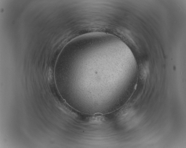 X0000076320077200610061421