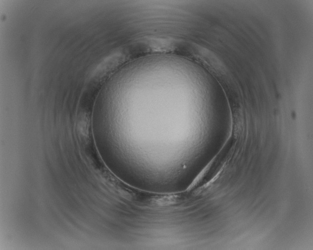 X0000076320078200610061421