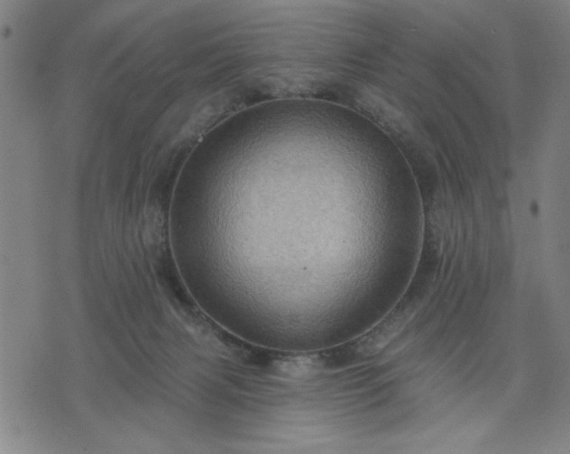 X0000076320079200610061421