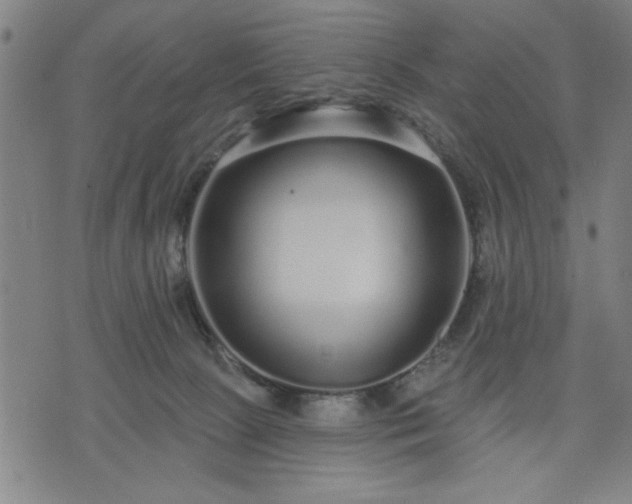 X0000076320081200610061421