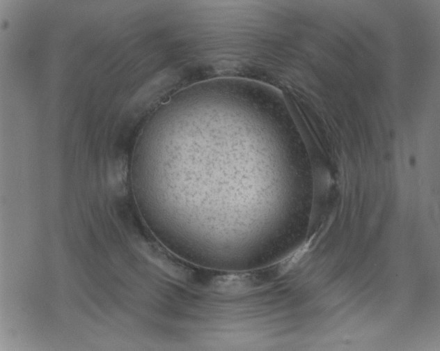 X0000076320082200610061421