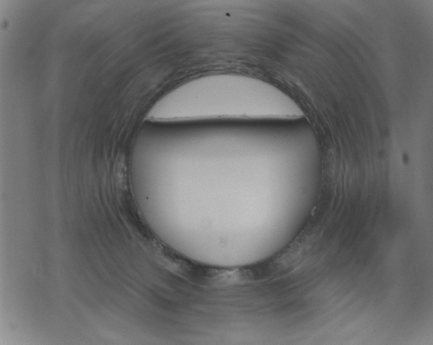 X0000076320083200610061421