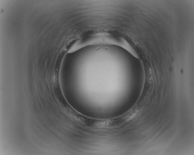 X0000076320084200610061421