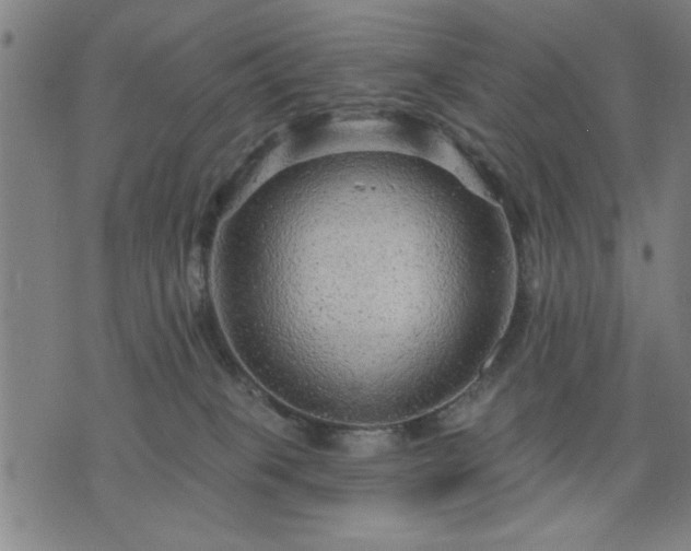 X0000076320085200610061421