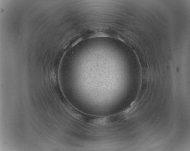 X0000076320086200610061421