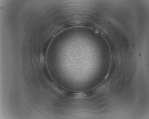 X0000076320087200610061421