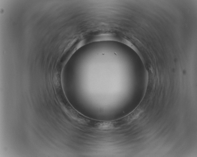 X0000076320088200610061421